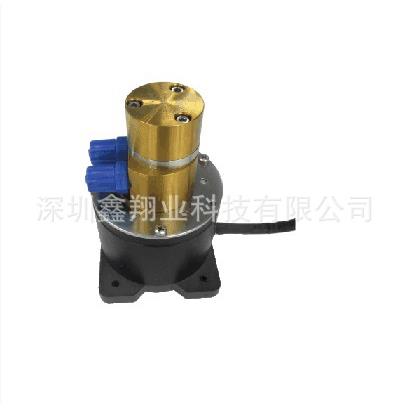 厂家直销 XY6012 微型齿轮泵 喷码机压力泵 抽油泵 喷码机齿轮泵