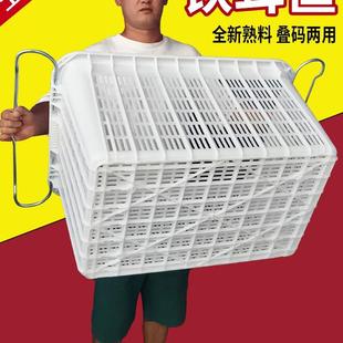 塑料筐加厚长方形镂空水果蔬菜卖菜胶框收纳箩筐塑料周转箩带铁耳