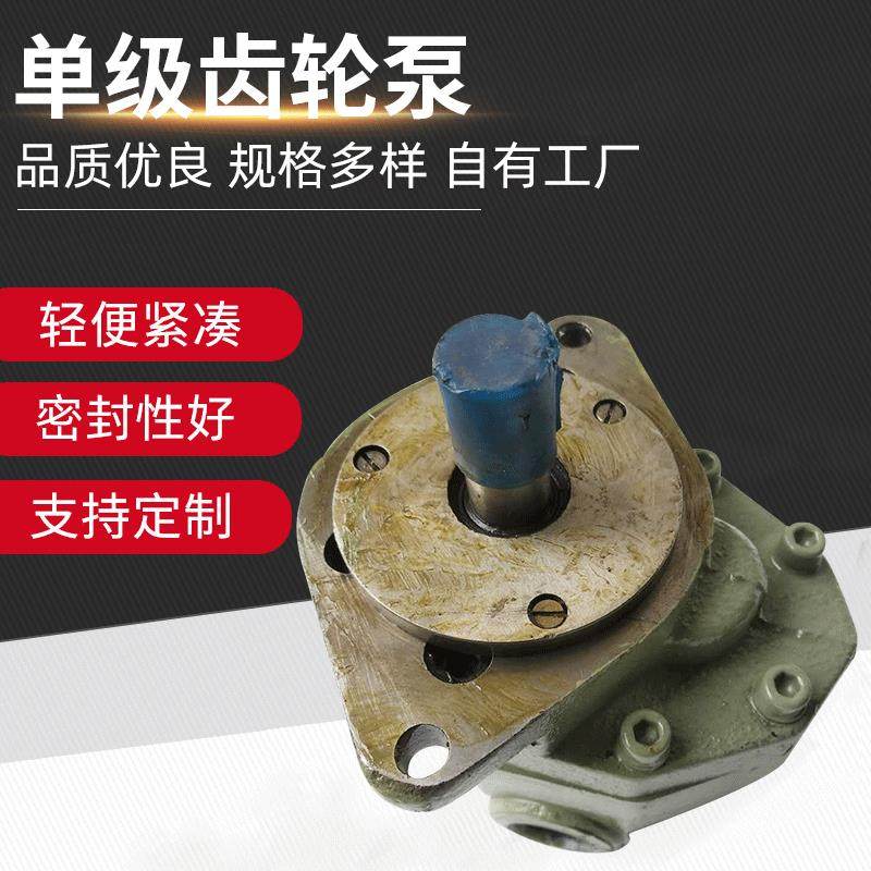 单级齿轮泵边立式不堵塞油泵高压增压铸铁CB-FC25-FL油泵