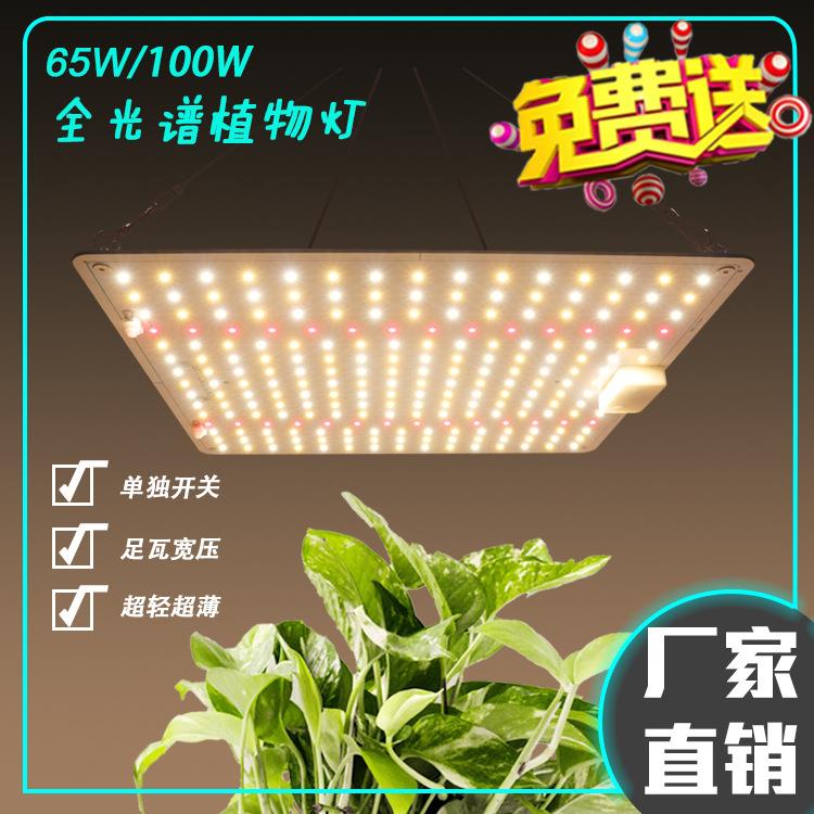 LED轻薄量子板植物生长灯足瓦65W 100W宽压室内种植全光谱植物灯