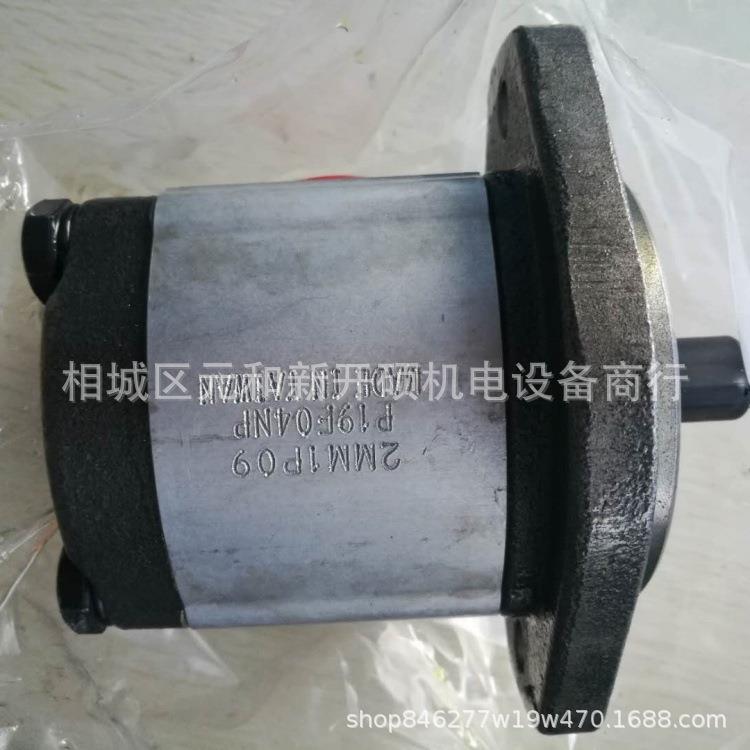 钰盟齿轮泵成形机无噪音油泵21TG1BP160902R安装压滤机HONOR油泵