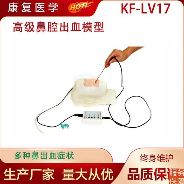 模型血多种鼻出 模型鼻腔出鼻腔出护理症状血高级血止血模型