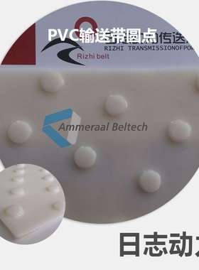 PVC输送带 透明圆点 Flexam EM 8/2 0+S46 Transp 5.5MM 谱乐诗