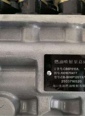 龙口潍柴WP10柴油发动机喷油泵CB6P810A/1001670477