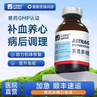 猫咪应激药狗狗提高免疫力术后营养黄芪多糖口服液宠物补血肝精猫