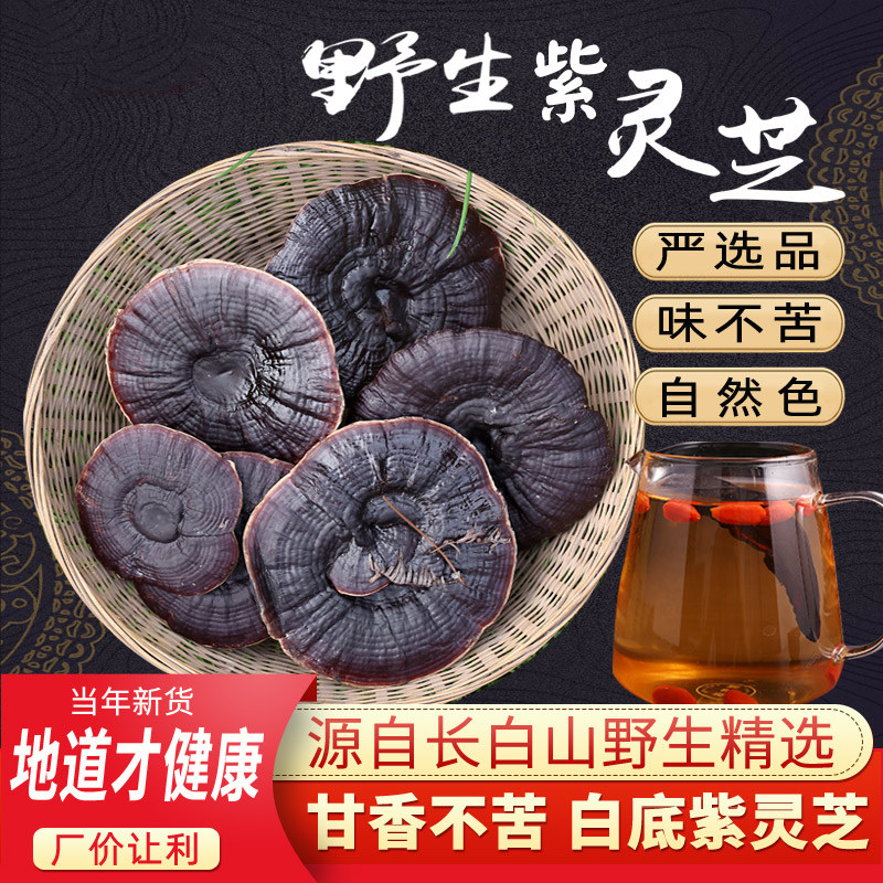长白山野生紫灵芝整朵正品大个紫芝煲汤不苦泡酒水金边林芝可切片