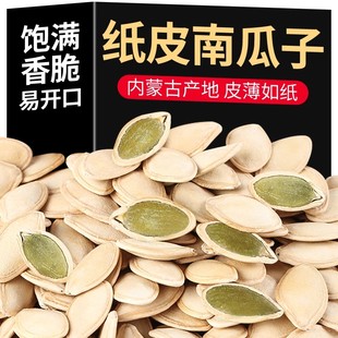 生南瓜子新货内蒙南瓜籽炒货新鲜带壳生的白瓜子大片散装无漂白