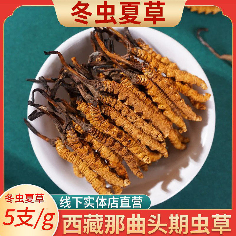 新鲜冬虫夏草5支/g断草根煲汤茶西藏那曲头期鲜虫草正品
