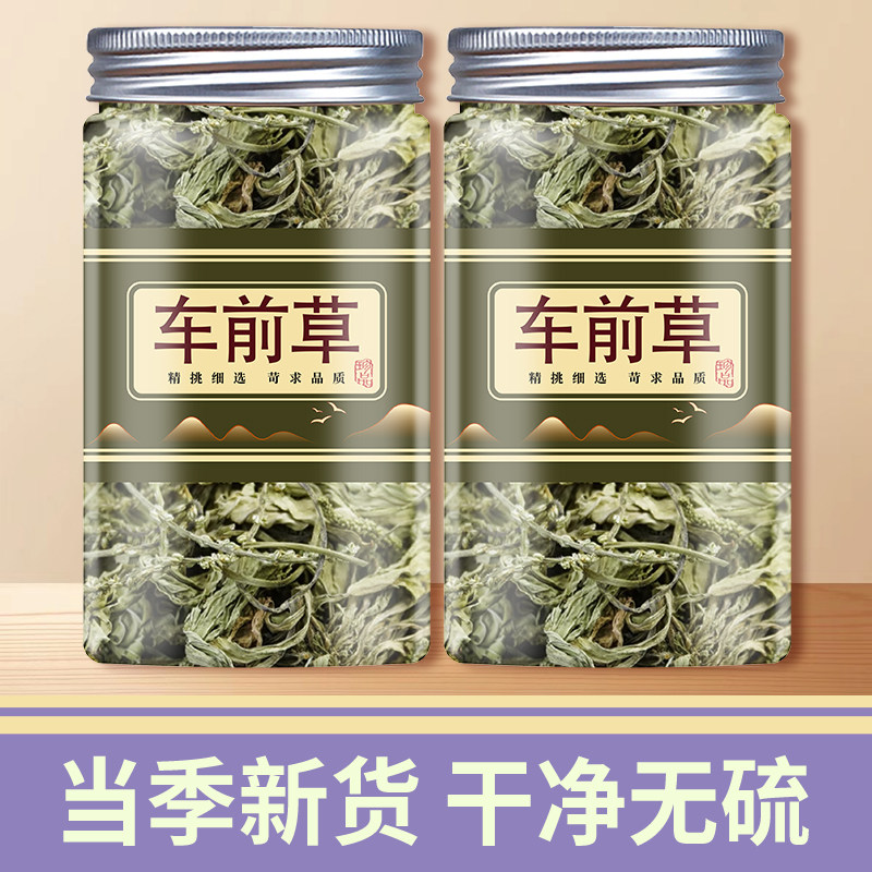 车前草中药材正品车钱草搭菊花木通瓜蒌袋泡茶水喝的功效与作用