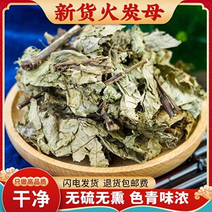 火炭母中药材500g克无硫赤地利为炭星白饭草野生火炭母正品中草药