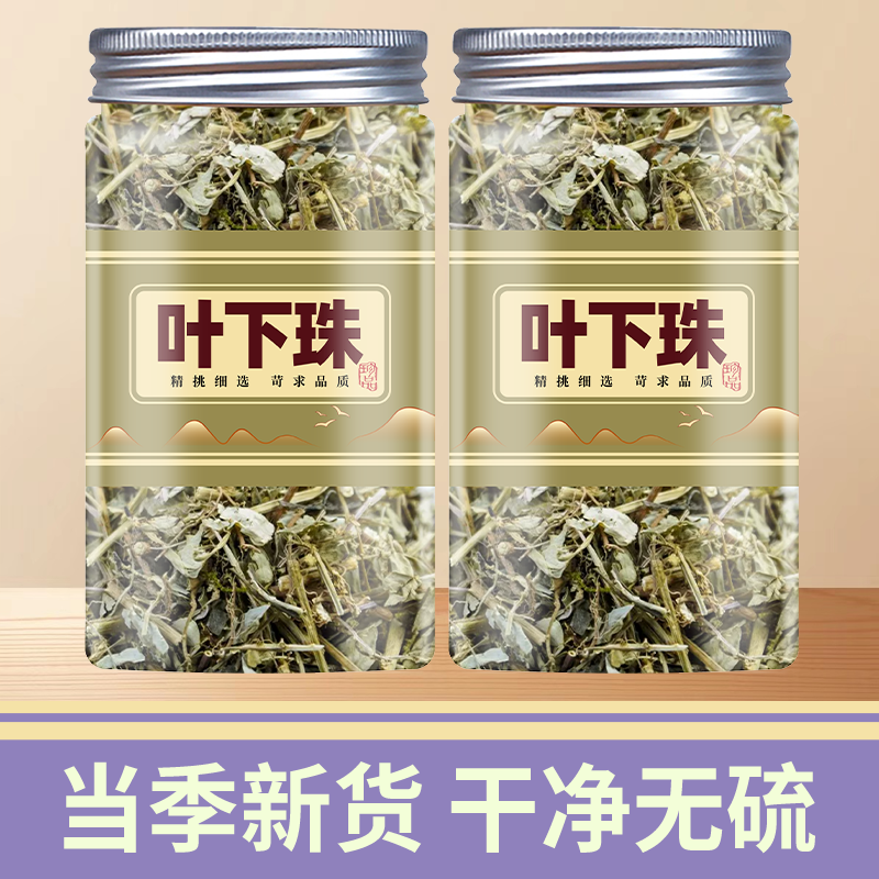 叶下珠中药材500g克野生叶下珠茶珍珠草龙珠草鱼鳞草夜合草中草药