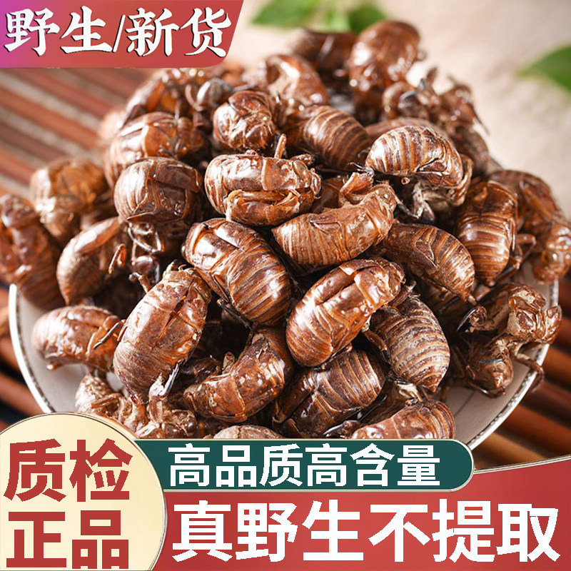 正品野生蝉蜕中药材500g正宗蝉蜕壳蝉壳蝉衣蝉皮蝉退虫退知了壳皮