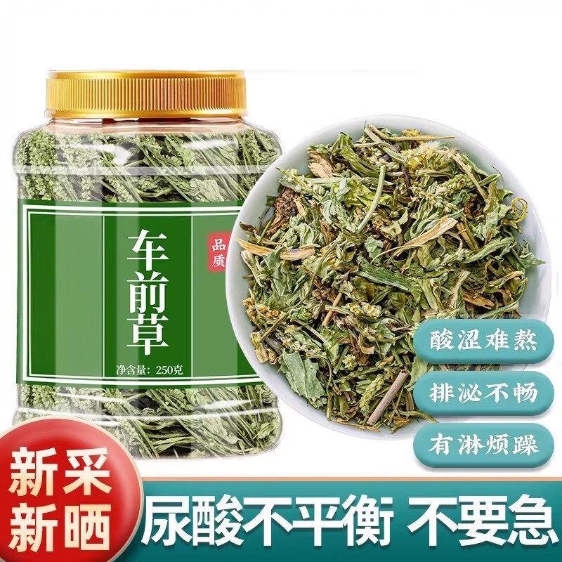车前草的功效与作用车轮草泡水喝袋泡茶车前子野生干车钱草中草药