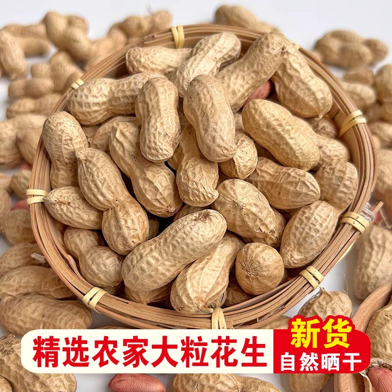 带壳生花生新货农家种植新鲜红皮花生粉红皮新花生晒干干花生种子