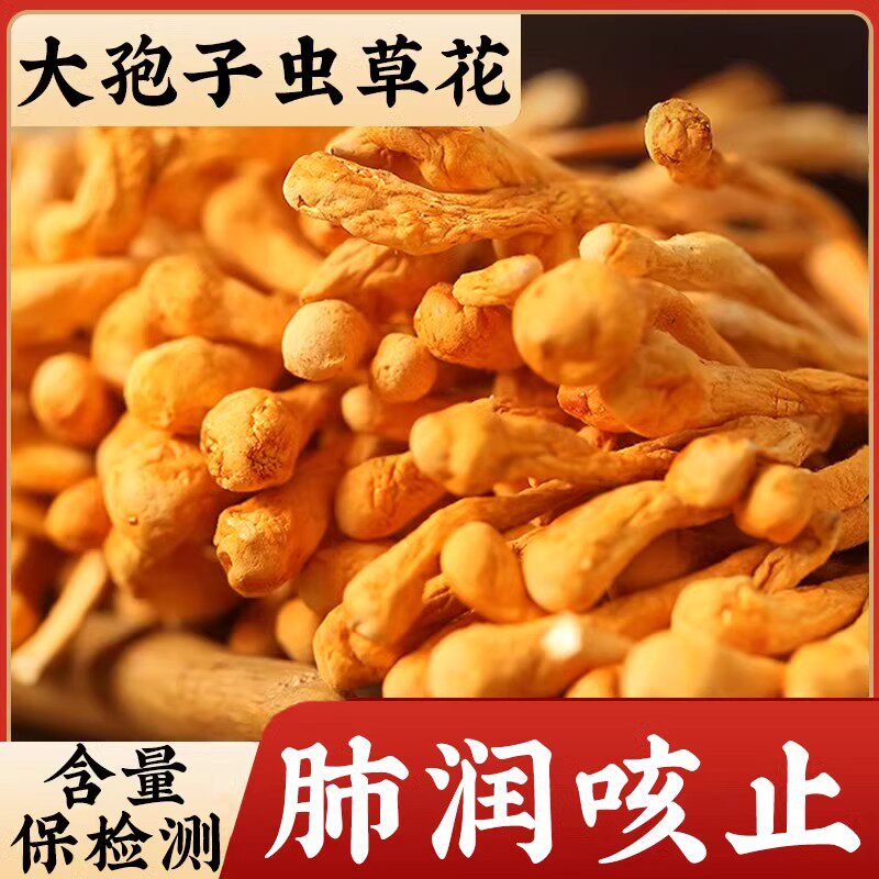 虫草花干货官方旗舰店正品新鲜商用蛹北虫草菌菇野生特级丛从草花