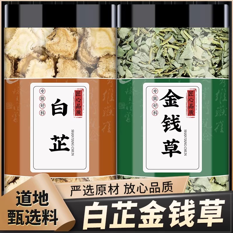白芷金钱草中药材正品新鲜生白芷切片大叶金钱草茶干货泡茶煮水喝