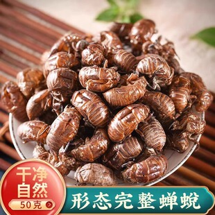 中药材蝉蜕 100g蝉脱 金蝉衣金蝉壳蝉皮蝉壳蝉衣知了皮 知了壳粉