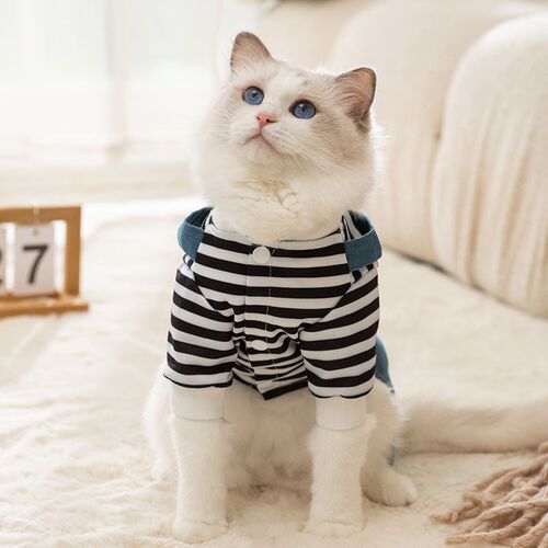 极速可爱小猫咪北极绒绣花牛仔背C带裤衣服秋季防掉毛布偶银渐层