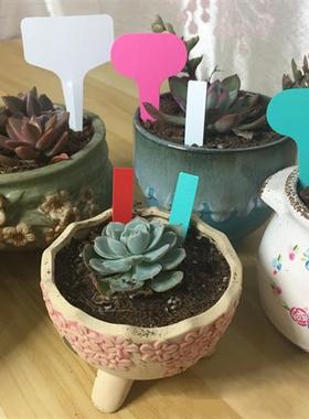 极速50PCS Plant Tags T Type Plant MarkIers Colorful Waterpro