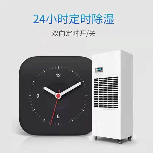 中药湿材仓库除湿干燥 地下室DP-12S除潮干燥吸湿除器 小仓型库除