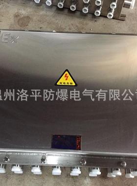 304SS不锈钢防爆接线箱 不锈钢防爆防腐配电箱 钢板焊接正压柜