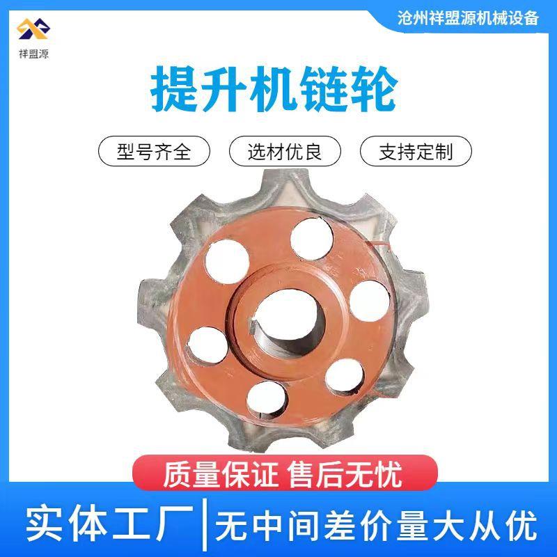 提升机头轮尾轮工业齿轮斗式传动输送链轮矿用总成