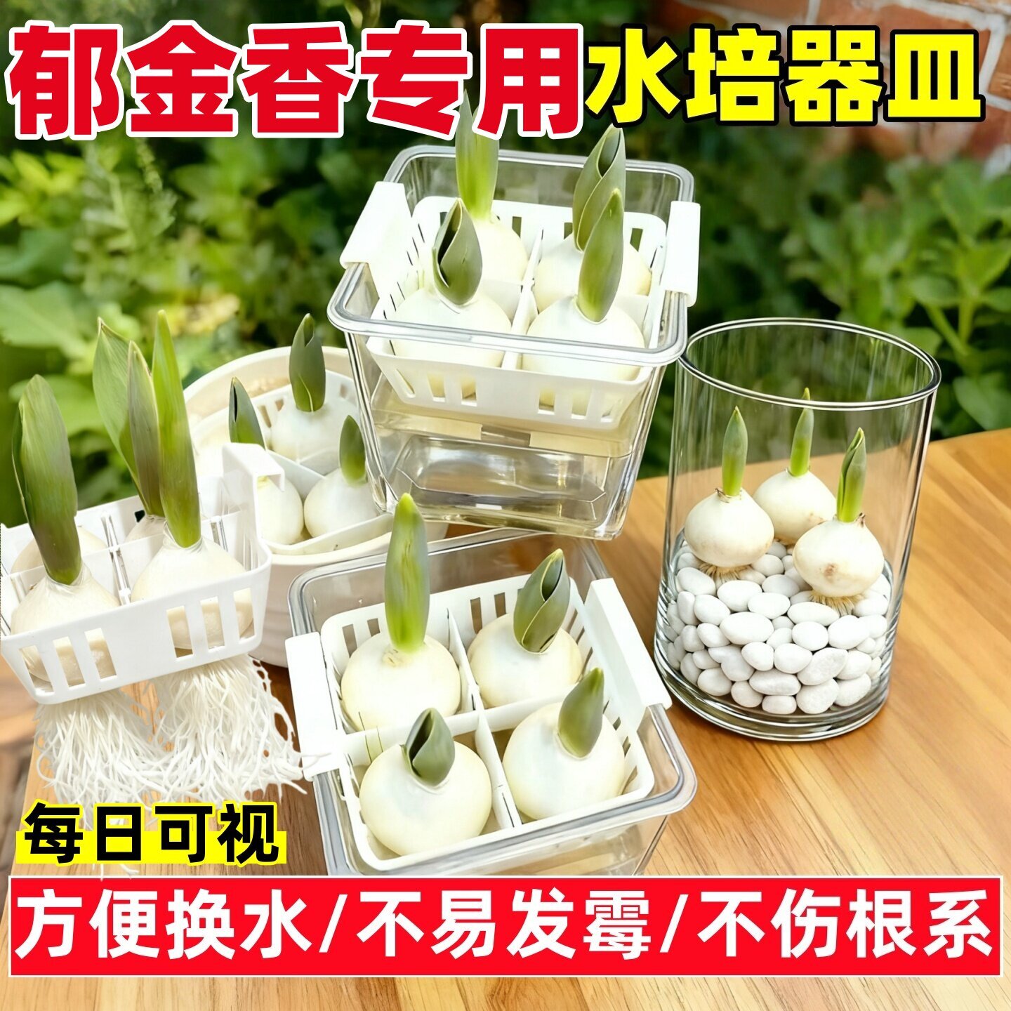 水培郁金香水培器皿花盆花瓶专用盆葡萄风信子水培瓶大水仙花水养