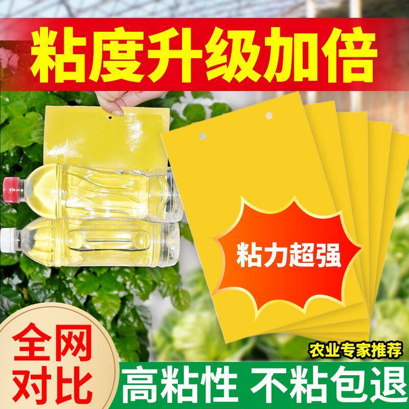 粘虫板家用黄板蓝板双面诱虫粘飞虫阳台小黑飞大棚果园果蝇诱捕器