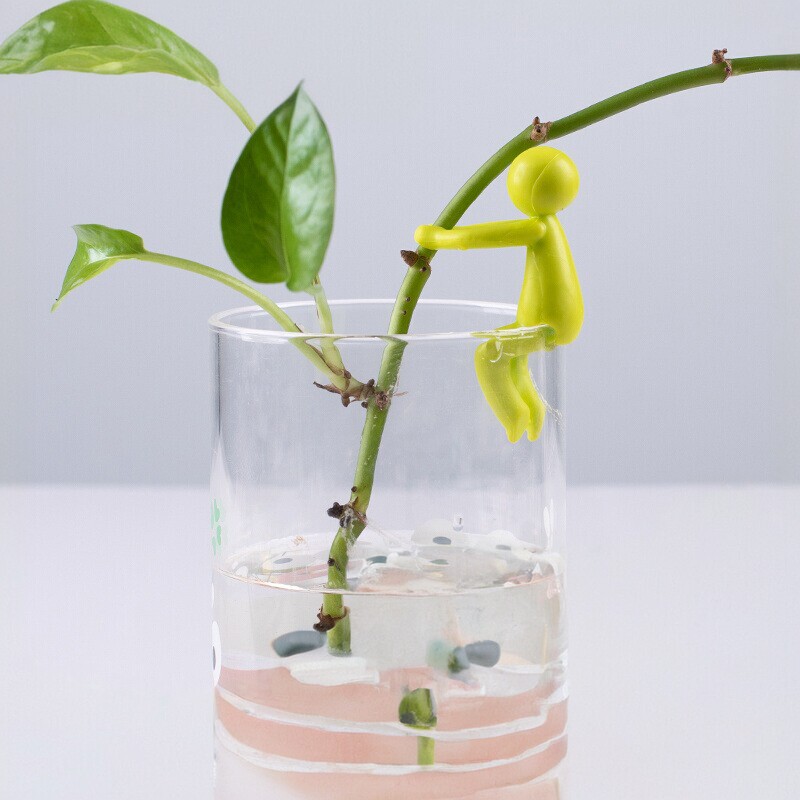 新款水培植物生长伴侣水培器皿扶正扶枝桌面装饰固定造型防倒伏叶