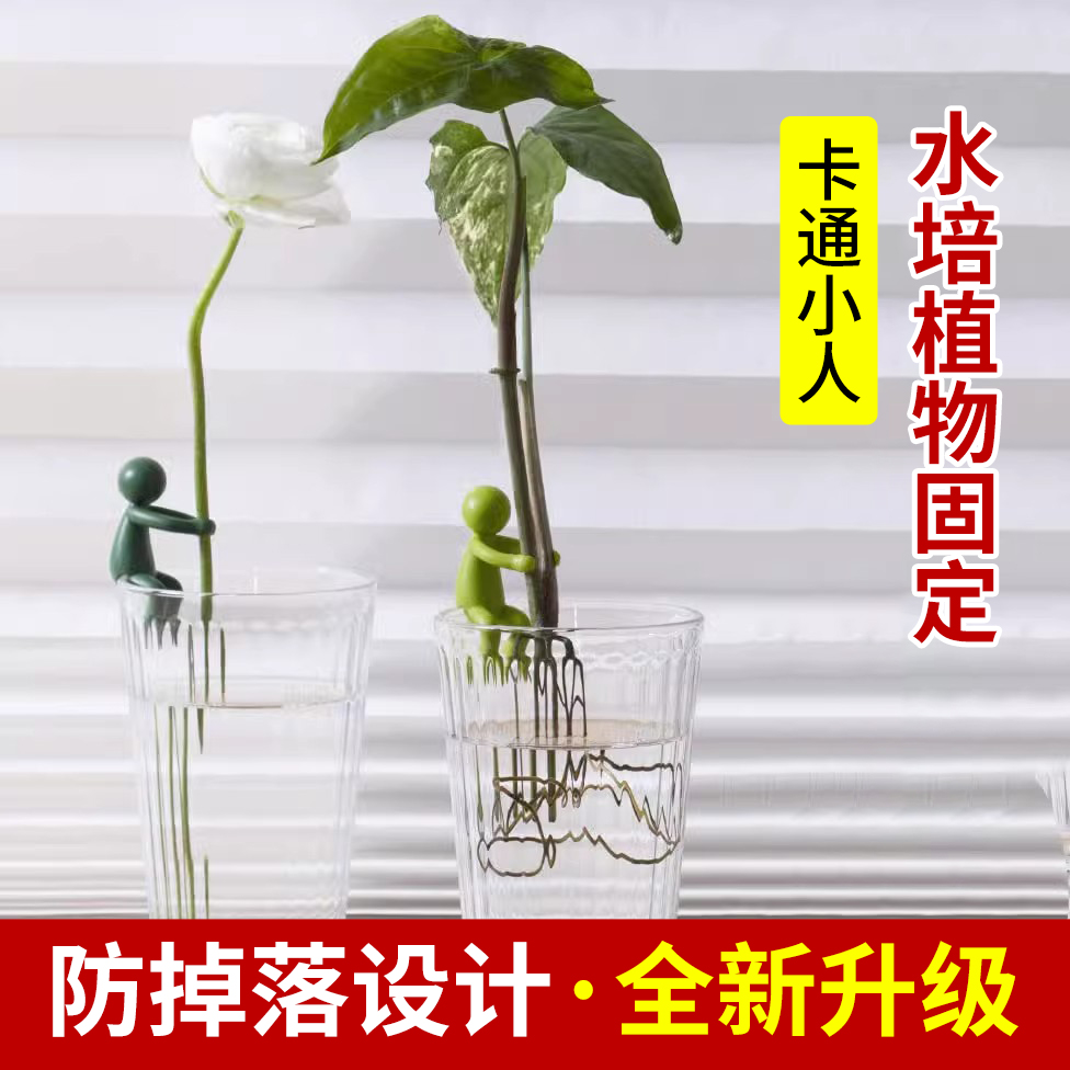 新款水培植物生长伴侣防倒伏叶