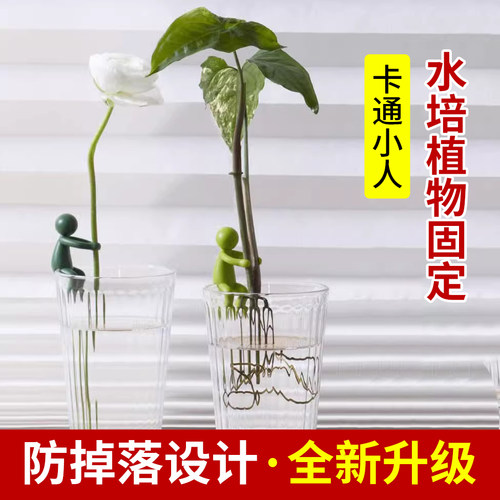 新款水培植物生长伴侣防倒伏叶