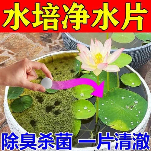 鲜花保鲜消毒片水培植物专用