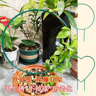 室内铁艺圆形心形雪莹山乌龟甲龙蝴蝶兰造型花架爬藤架子植物支架