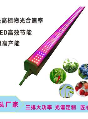 仿太阳灯LED植物生长大功率LED生长灯600MM 30Wled补光灯