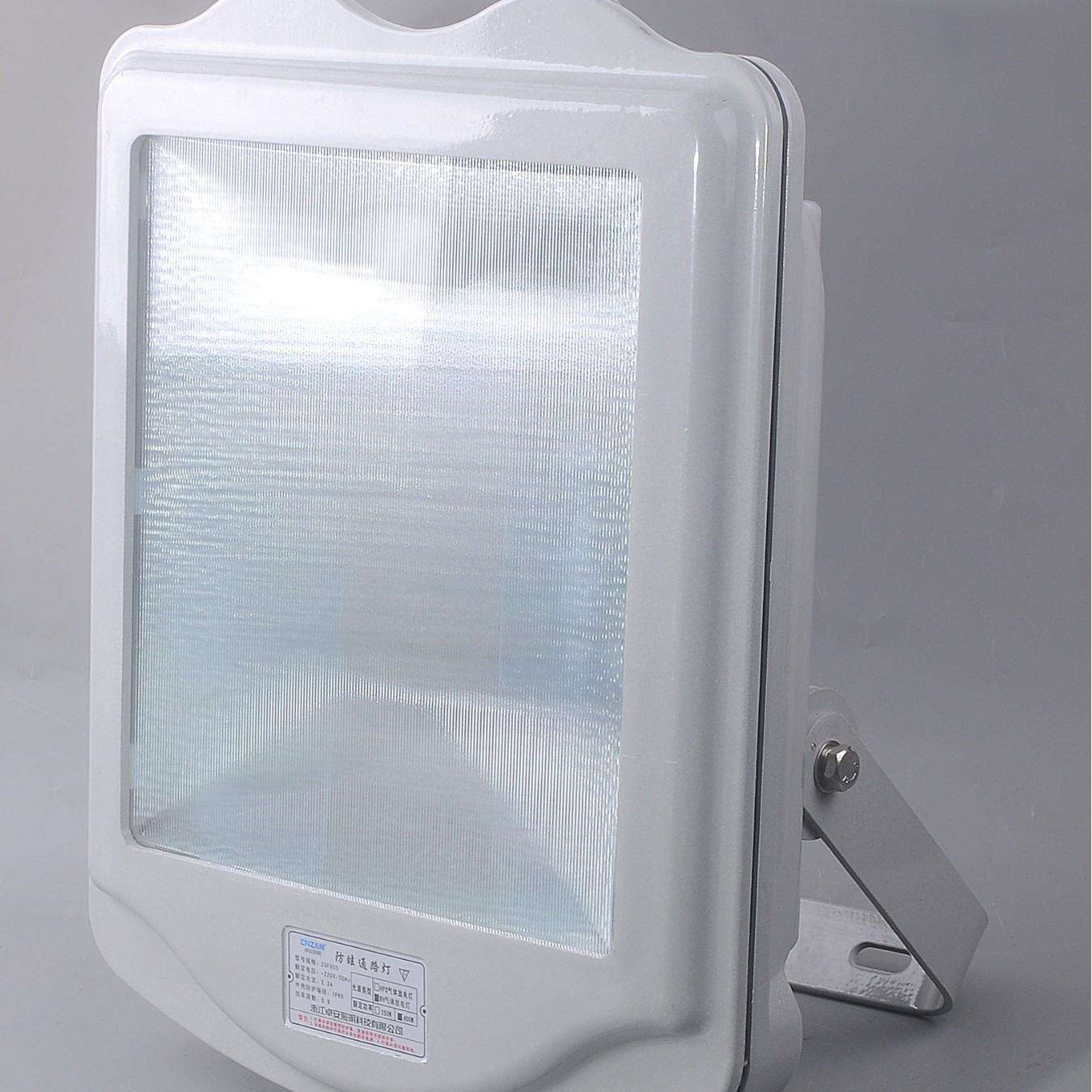 GT002-L250防水防尘防震泛光灯强光超亮