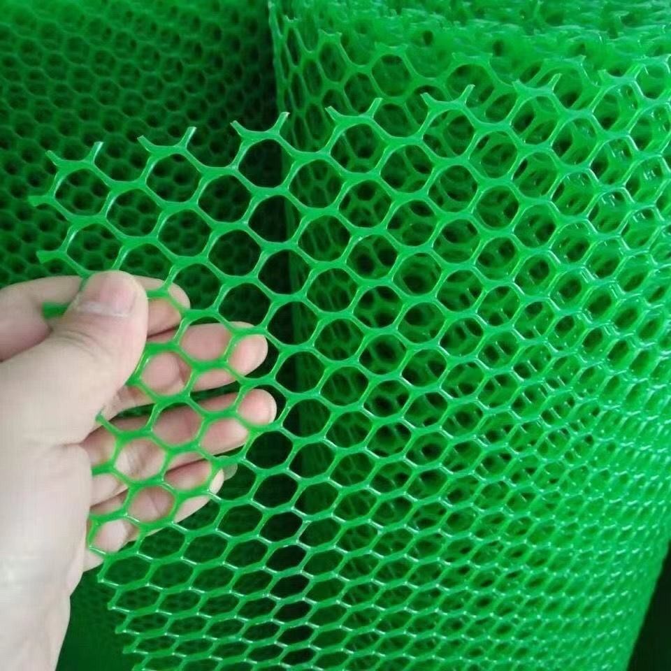 养鸡专用网绿色家用防护
