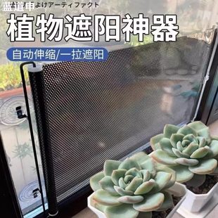 多肉窗户神器吸盘植物隔热阳台兰花防晒伸缩遮阳帘罩遮光绿植遮阳