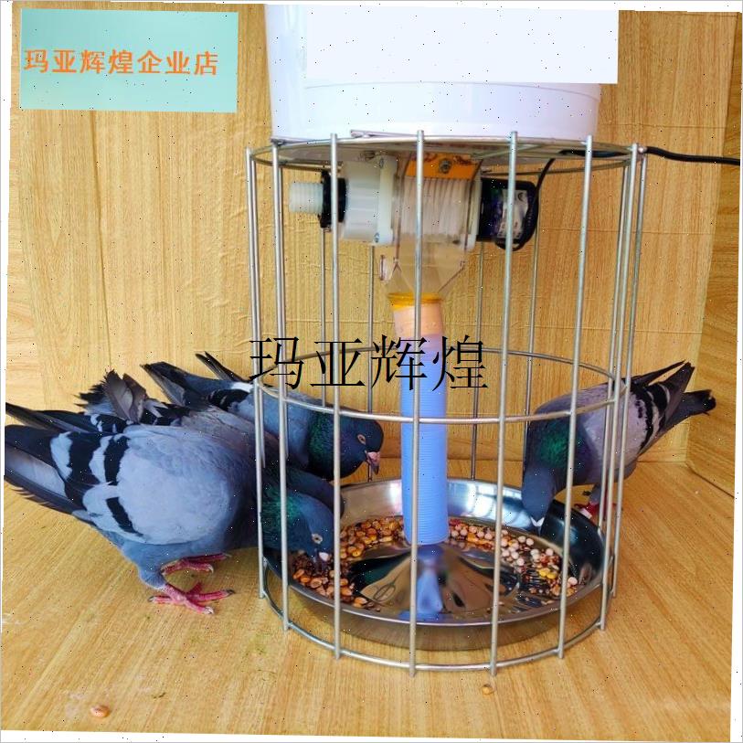 鸽子自动喂食器防撒食槽信鸽投食神器用品用具大V全喂鸡专用食盒,