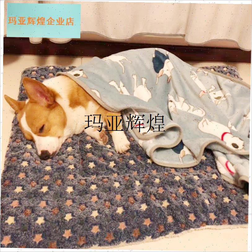 宠物睡垫加厚款秋冬保暖地垫猫咪狗狗通K用毛毯垫子宠物坐垫猫咪,