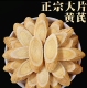 正宗甘肃岷县大片黄芪主根斜切无熏无硫金盏银盘菊花芯