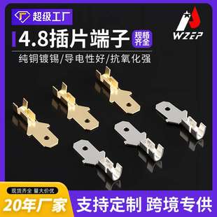 6.3黃銅鍍錫 塑殼連接器配件恩普廠家現貨 4.8 插片公母端2.8