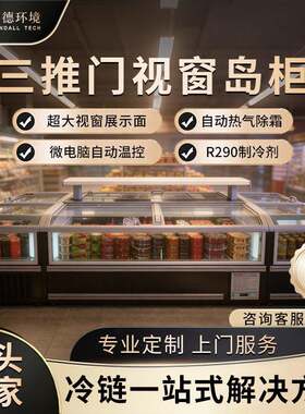 三推门视窗岛柜自动化霜冷冻柜侧视窗展示柜商用卧式雪柜冰箱