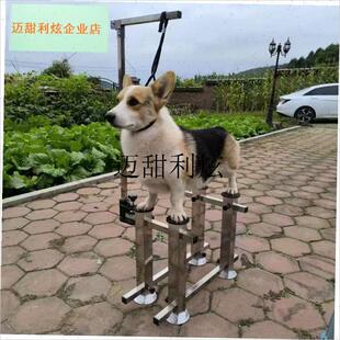 赛犬站桩器比赛站桩训练宠物美容台E狗狗梅花桩驯犬犬舍宠物美容