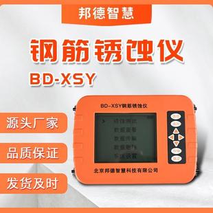 XSY钢筋仪智能金属检测数显混凝土位置检测仪 钢筋锈蚀仪BD