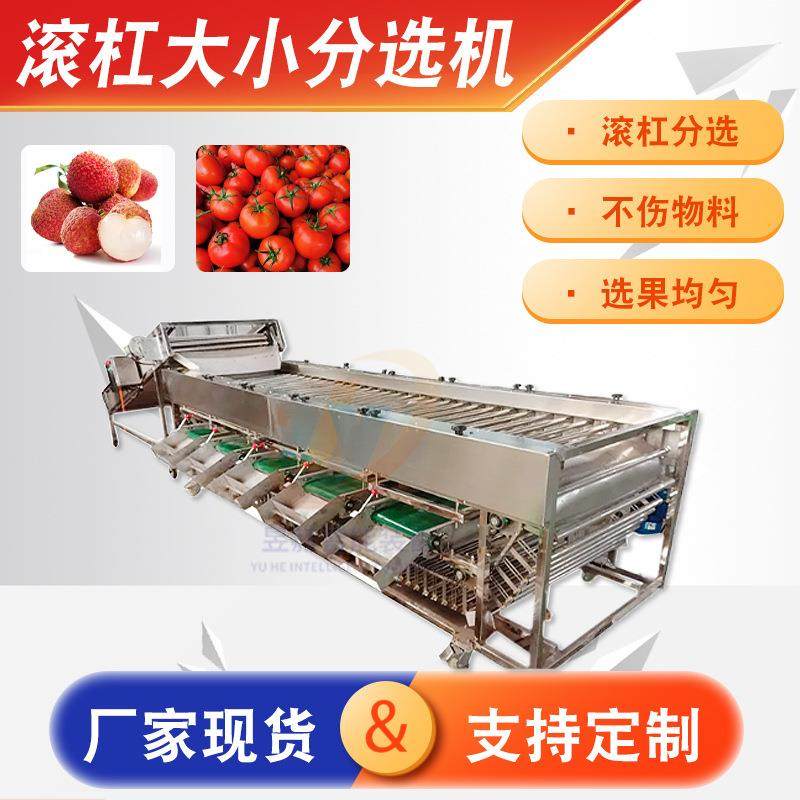 自动滚杠式输送瓜果滚筒圆径捡果小番茄土豆大蒜轨道式选果机