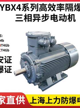 防爆电机YBX4-315M-875W高效率隔爆型炼油化工厂油漆厂用