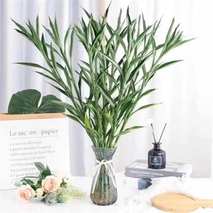 招财竹细叶富贵竹发财竹室内客厅招财空气水培土种植物风水好养