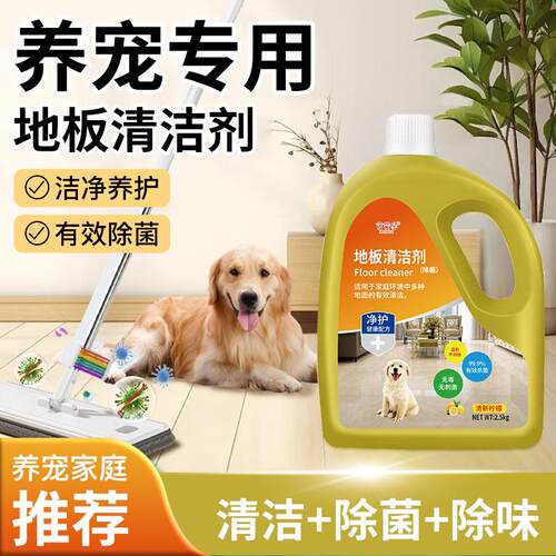 地板清洁剂瓷砖地面清洁液