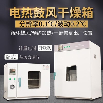。电热恒温鼓风干燥箱烤箱实验室老化试验M箱小型高温烘箱工业烘