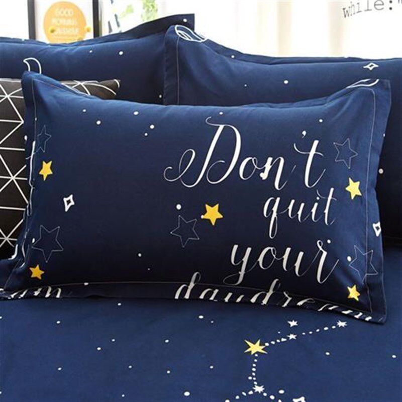 枕套一对装家用j成人大人单人一只装大号枕头芯套装带枕头套子整